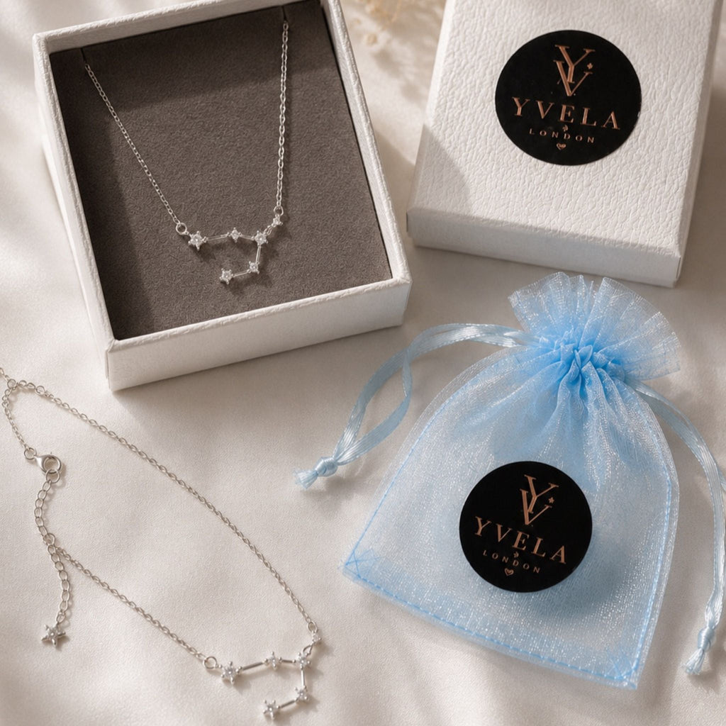Leo Zodiac Necklace ♌️ – Silver 925 ✨